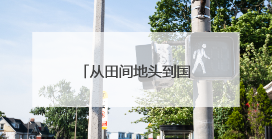 从田间地头到国际舞台！东昌葫芦闪耀深圳文博会