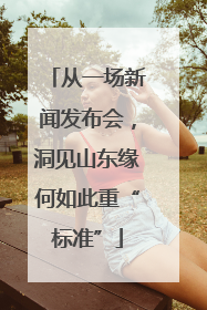 从一场新闻发布会，洞见山东缘何如此重“标准”