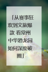 从赛事狂欢到文旅爆款 看常州中华恐龙园如何深度破圈