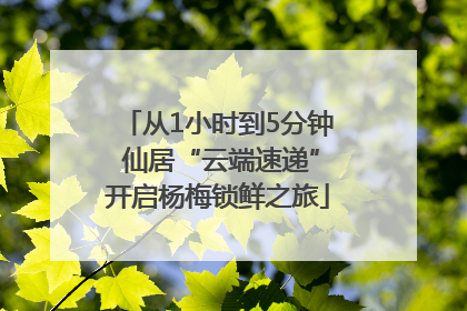 从1小时到5分钟 仙居“云端速递”开启杨梅锁鲜之旅