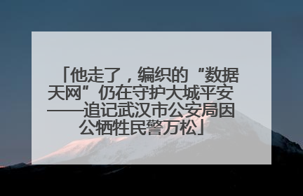 他走了，编织的“数据天网”仍在守护大城平安——追记武汉市公安局因公牺牲民警万松