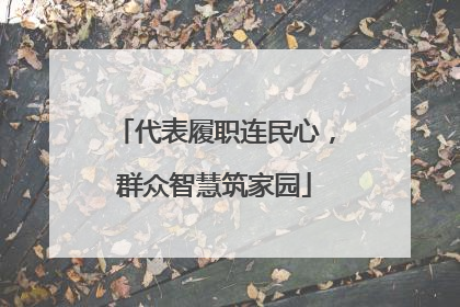 代表履职连民心，群众智慧筑家园
