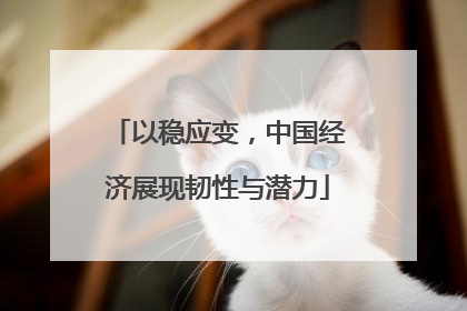 以稳应变，中国经济展现韧性与潜力