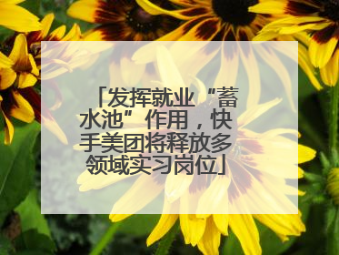 发挥就业“蓄水池”作用，快手美团将释放多领域实习岗位