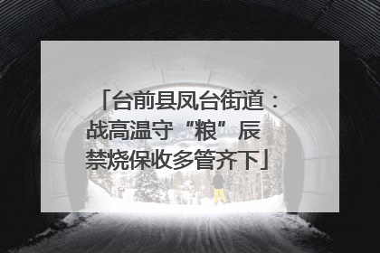 台前县凤台街道：战高温守“粮”辰 禁烧保收多管齐下