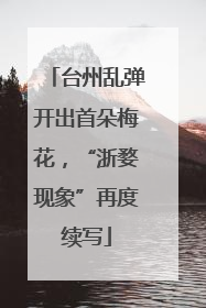 台州乱弹开出首朵梅花，“浙婺现象”再度续写