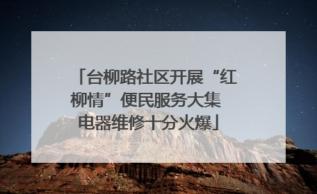 台柳路社区开展“红柳情”便民服务大集 电器维修十分火爆