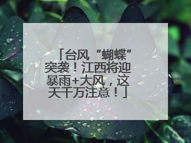 台风“蝴蝶”突袭！江西将迎暴雨+大风，这天千万注意！