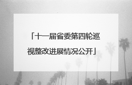 十一届省委第四轮巡视整改进展情况公开