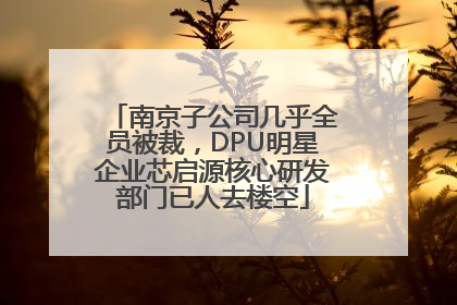 南京子公司几乎全员被裁，DPU明星企业芯启源核心研发部门已人去楼空