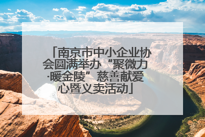 南京市中小企业协会圆满举办“聚微力·暖金陵”慈善献爱心暨义卖活动