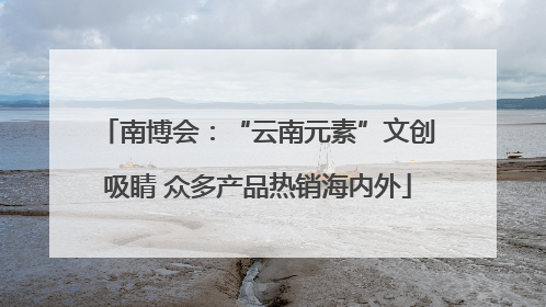 南博会：“云南元素”文创吸睛 众多产品热销海内外
