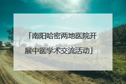 南阳哈密两地医院开展中医学术交流活动