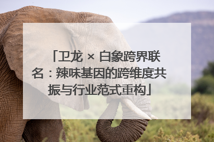 卫龙 × 白象跨界联名：辣味基因的跨维度共振与行业范式重构