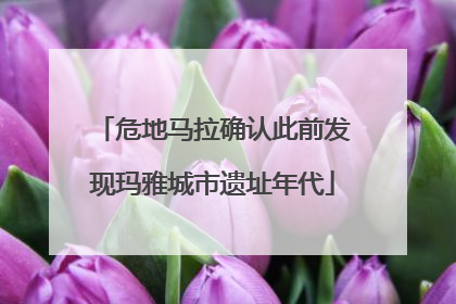 危地马拉确认此前发现玛雅城市遗址年代