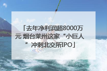 去年净利润超8000万元 烟台莱州这家“小巨人”冲刺北交所IPO
