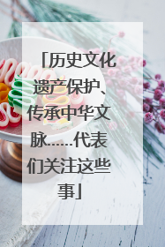 历史文化遗产保护、传承中华文脉……代表们关注这些事