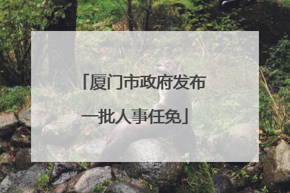 厦门市政府发布一批人事任免