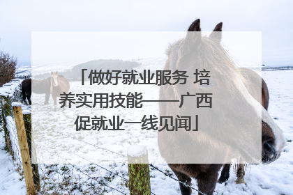 做好就业服务 培养实用技能——广西促就业一线见闻