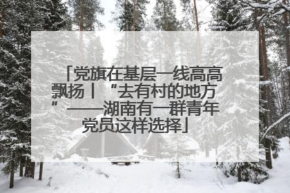 党旗在基层一线高高飘扬丨“去有村的地方”——湖南有一群青年党员这样选择