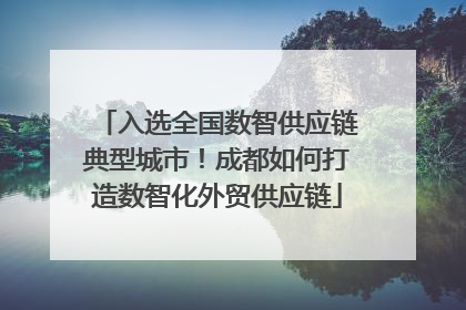 入选全国数智供应链典型城市！成都如何打造数智化外贸供应链