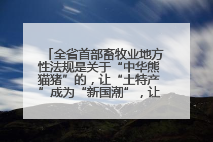 全省首部畜牧业地方性法规是关于“中华熊猫猪”的，让“土特产”成为“新国潮”，让“农产品”升格为“城市IP”