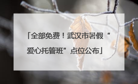 全部免费！武汉市暑假“爱心托管班”点位公布