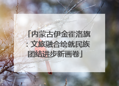 内蒙古伊金霍洛旗：文旅融合绘就民族团结进步新画卷