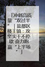 冲刺高质量“双过半”｜盐都区楼王镇：攻坚实干不停歇 奋力跑赢“上半场”