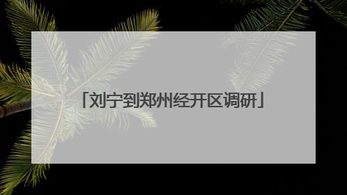 刘宁到郑州经开区调研
