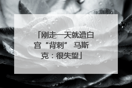 刚走一天就遭白宫“背刺” 马斯克：很失望