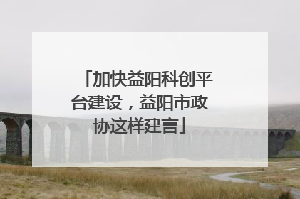 加快益阳科创平台建设，益阳市政协这样建言