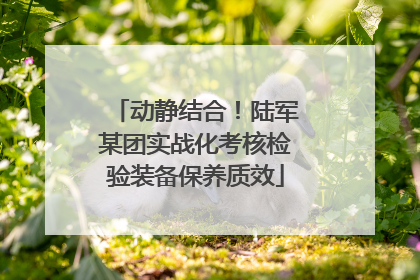 动静结合！陆军某团实战化考核检验装备保养质效