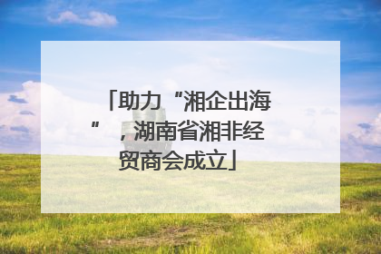 助力“湘企出海”，湖南省湘非经贸商会成立