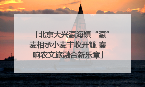北京大兴瀛海镇“瀛”麦相承小麦丰收开镰 奏响农文旅融合新乐章