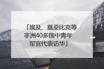 埃及、莫桑比克等非洲40多国中青年军官代表访华