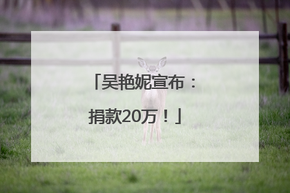吴艳妮宣布：捐款20万！