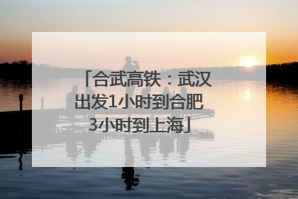 合武高铁：武汉出发1小时到合肥3小时到上海