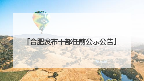 合肥发布干部任前公示公告