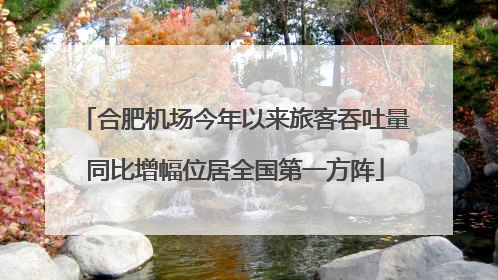 合肥机场今年以来旅客吞吐量同比增幅位居全国第一方阵