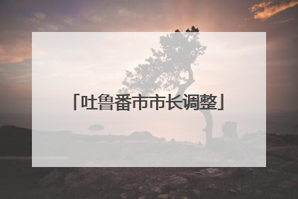 吐鲁番市市长调整