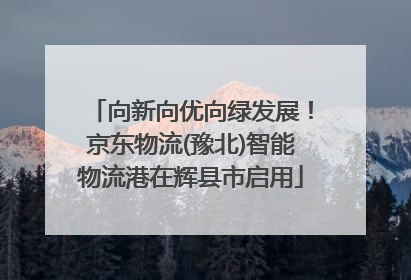 向新向优向绿发展！京东物流(豫北)智能物流港在辉县市启用