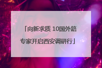 向新求质 10国外籍专家开启西安调研行