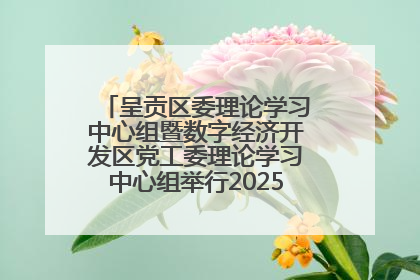 呈贡区委理论学习中心组暨数字经济开发区党工委理论学习中心组举行2025年第七次学习会议