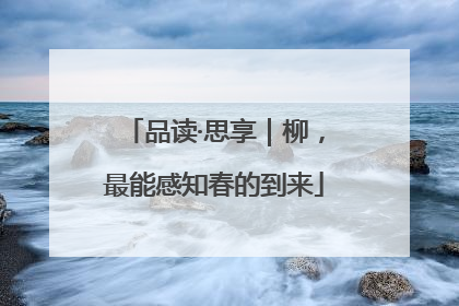 品读·思享｜柳，最能感知春的到来