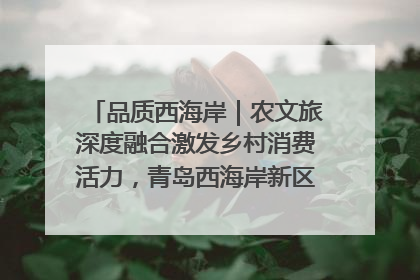 品质西海岸｜农文旅深度融合激发乡村消费活力，青岛西海岸新区的乡村振兴实践