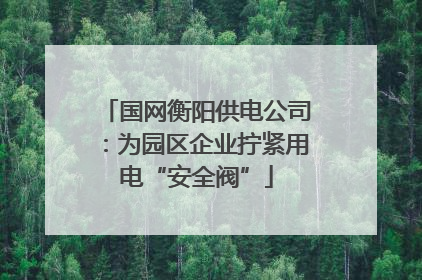 国网衡阳供电公司：为园区企业拧紧用电“安全阀”