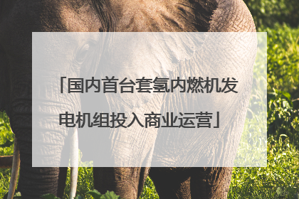国内首台套氢内燃机发电机组投入商业运营