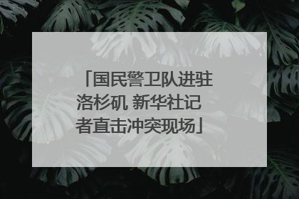 国民警卫队进驻洛杉矶 新华社记者直击冲突现场