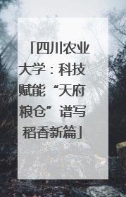 四川农业大学：科技赋能“天府粮仓”谱写稻香新篇